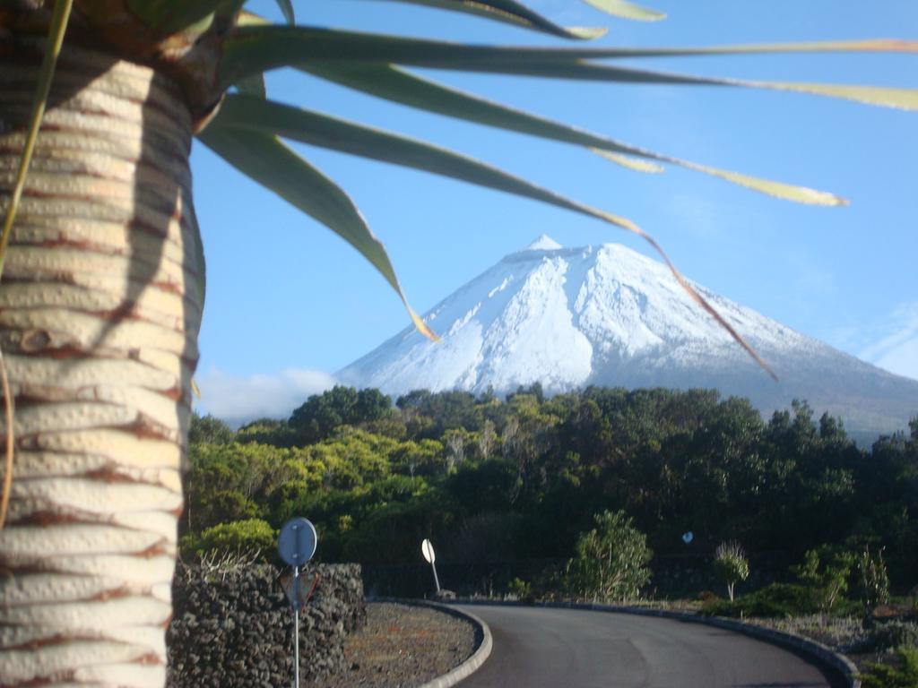 Pico Formoso Vinea Lava Alojamentos Pico Prainha  Екстериор снимка